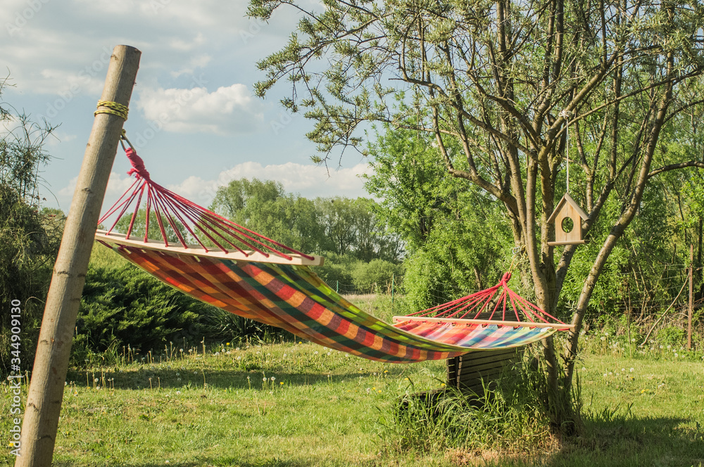 hammock in the garden