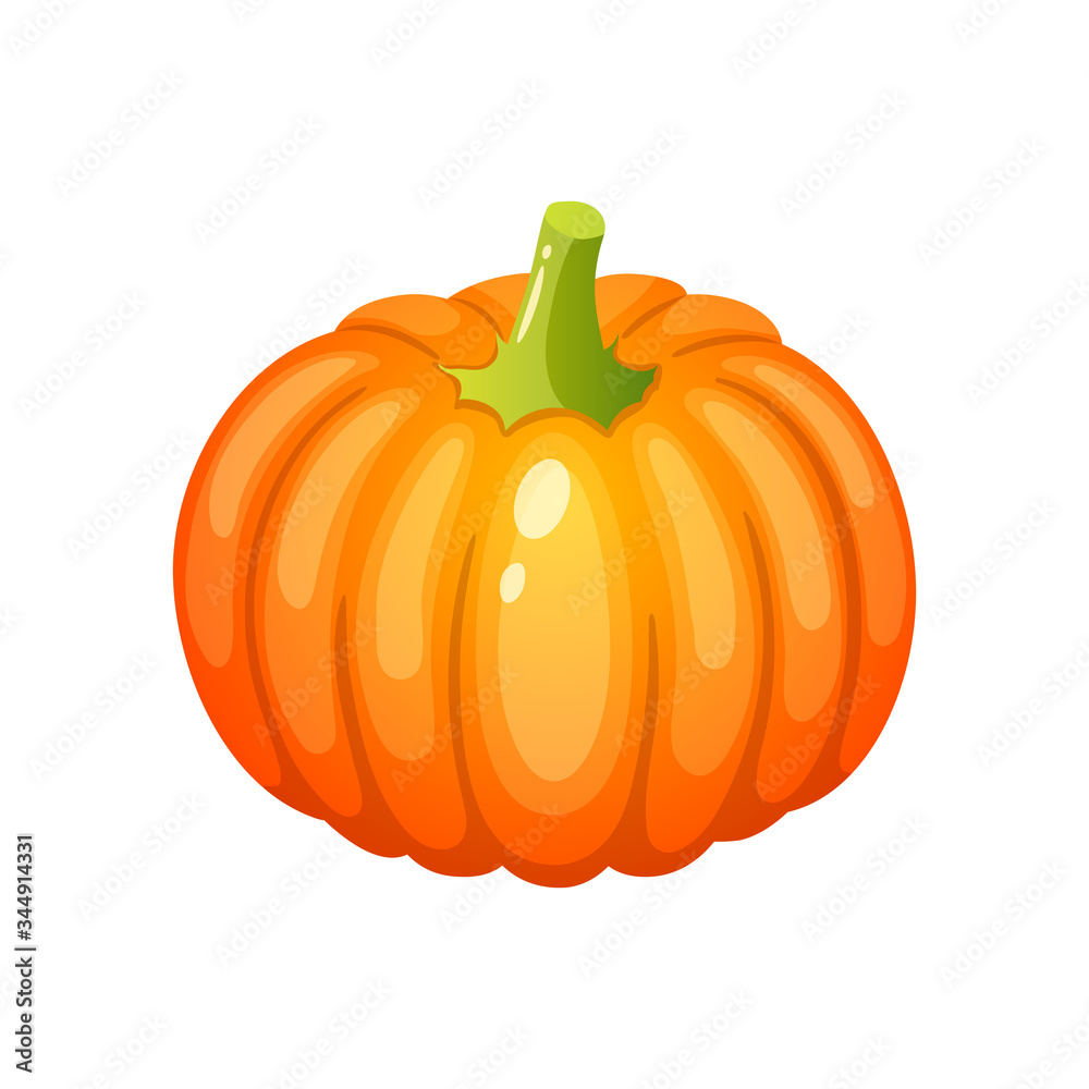 Ripe orange pumpkin, vector icon, fresh and healthy vegetables. Ripe orange pumpkin, vector icon, fresh and healthy vegetables.
