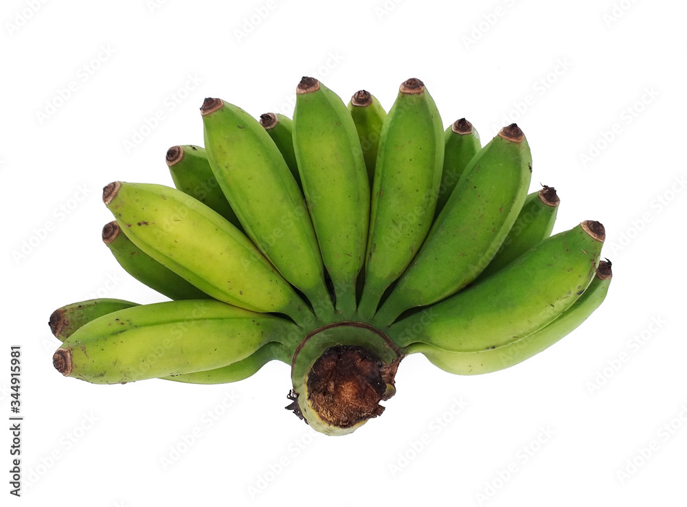 Bunch of mini bananas or baby bananas, bio, small and extra sweet. with deep flavor and compact isolated on white background. Bunch of mini bananas or baby bananas, bio, small and extra sweet. with deep flavor and compact isolated on white background.