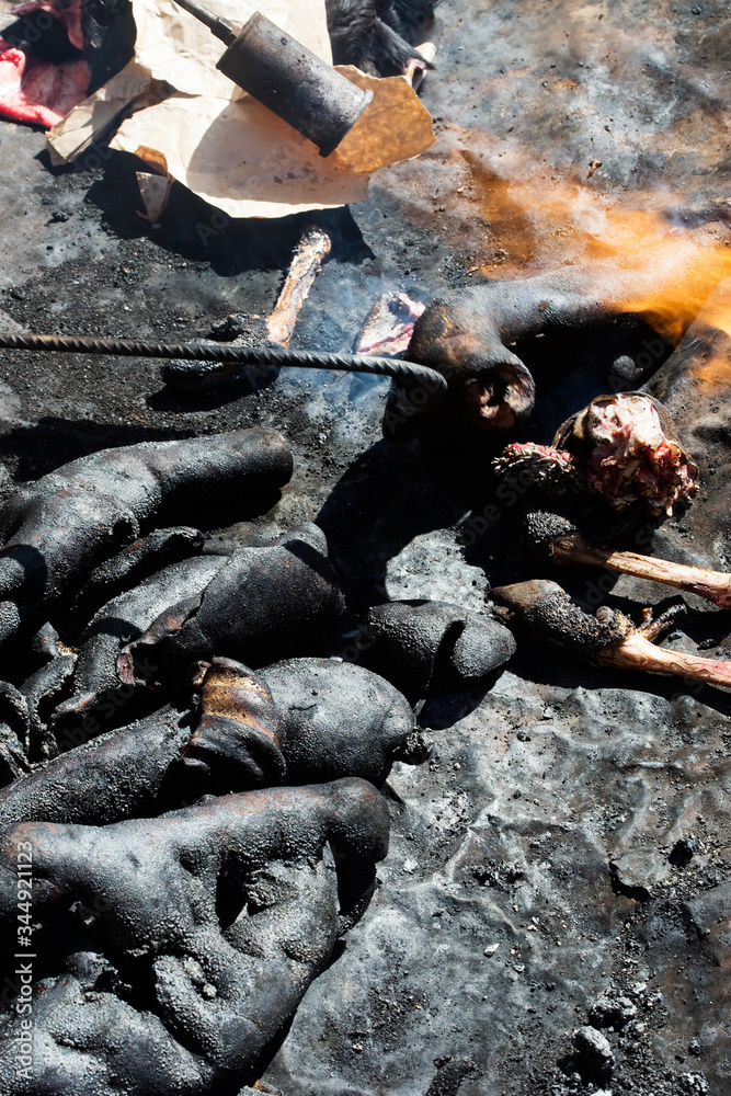 Fototapeta premium Burning camel's skin with torch, Morocco