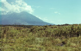 Mont Meru, Tanzanie