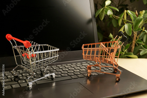 Wallpaper Mural shopping baskets on laptop with plants on background. copy space. shopping concept Torontodigital.ca