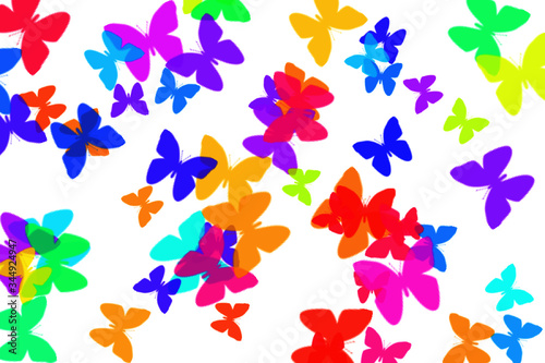farfalle colorate 