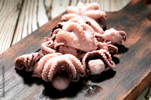 Small octopus, fresh