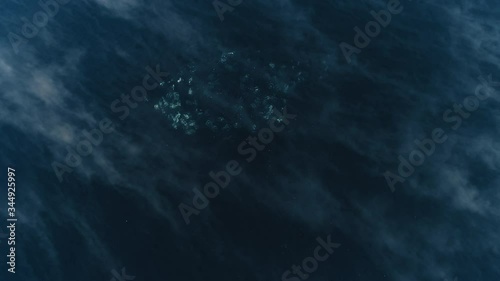 Top view of white ducks are floating under blue water of lake at spring afternoon. Beautiful picture of flock of wild birds moving under clear aqua of baikal sea on unique island. Amazing landscape