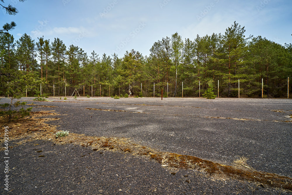 old abandoned asphalt playground in the spring forest