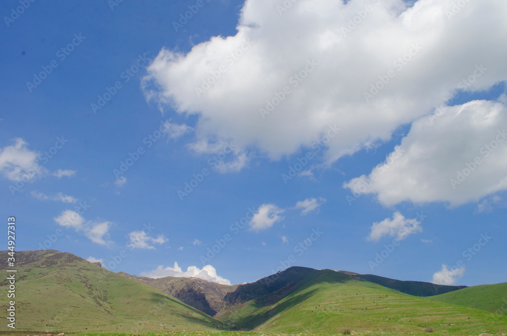 Orange tent on green grass in the mountains in summer
