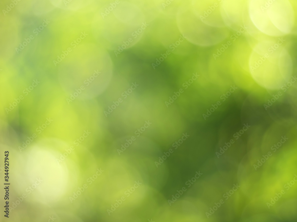 Natural outdoors bokeh background in green and yellow tones, Blurred green tree leaf background with bokeh Natural outdoors bokeh background in green and yellow tones, Blurred green tree leaf background with bokeh