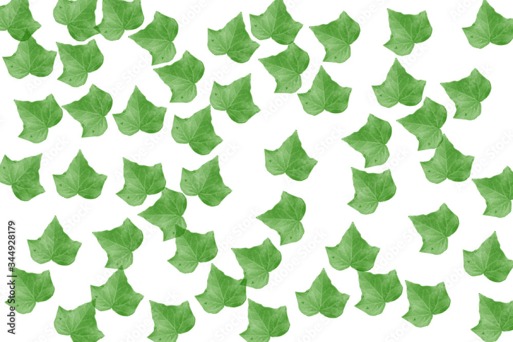 foglio foglie verde