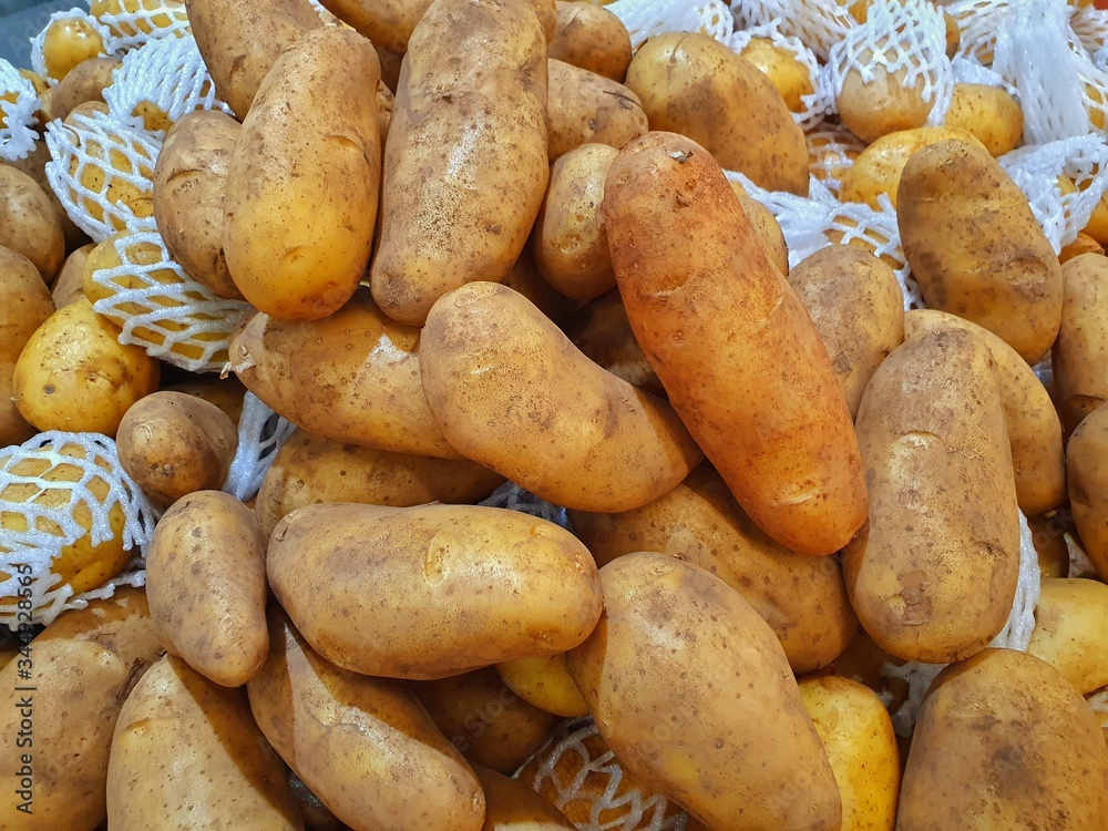 Solanum tuberosum (Potato)