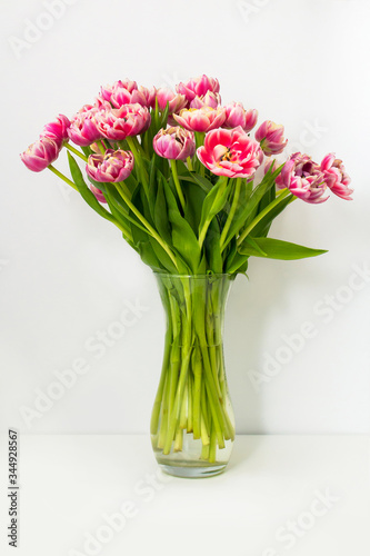 pink tulips in vase © irinad85