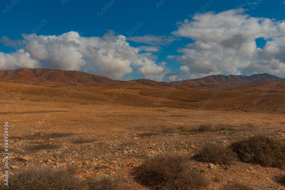 colorful desert of Fuerteventura in Spain Canary islands