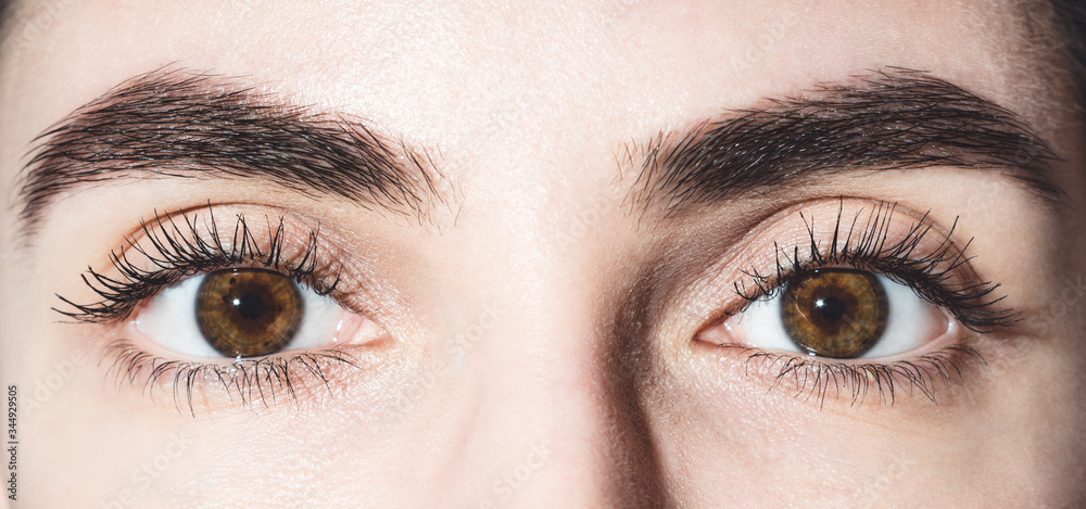 Obraz premium Beautiful female eyes. Brown eyes close up. Open eyes. Eyes are looking at the camera. Mascara on the eyelashes. Eyes and eyebrows near. Charming look.