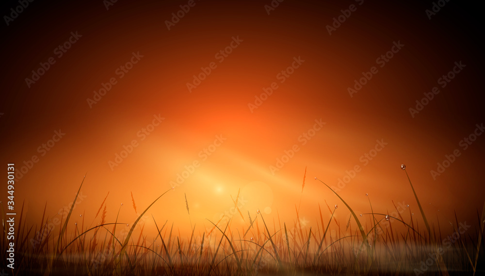 Obraz premium Realistic orange dawn rays of the sun and glare of a natural background over a field of grass. sunset sky background design. Stylish vector illustration.