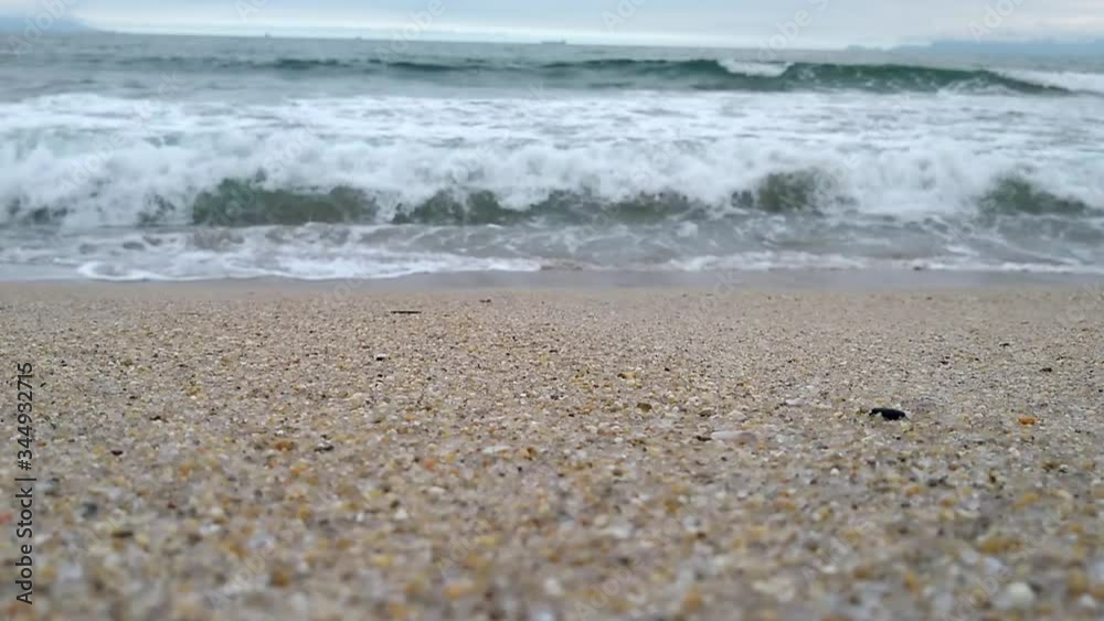 Linda praia com ondas cristalinas e pequenos animais Linda praia com ondas cristalinas e pequenos animais