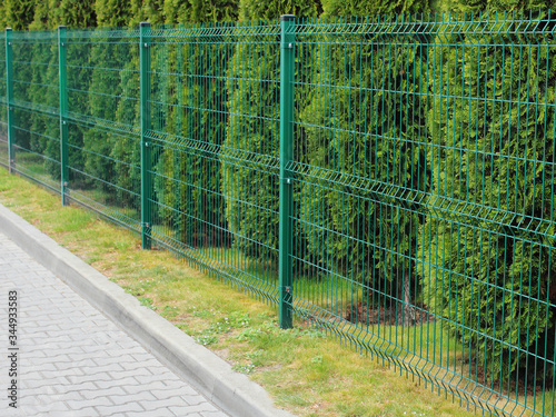 neat metal fence and thuja park area in the city