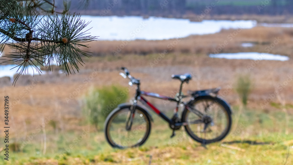 Bicycle on nature background. Pine branch on river background. Travel on a bicycle