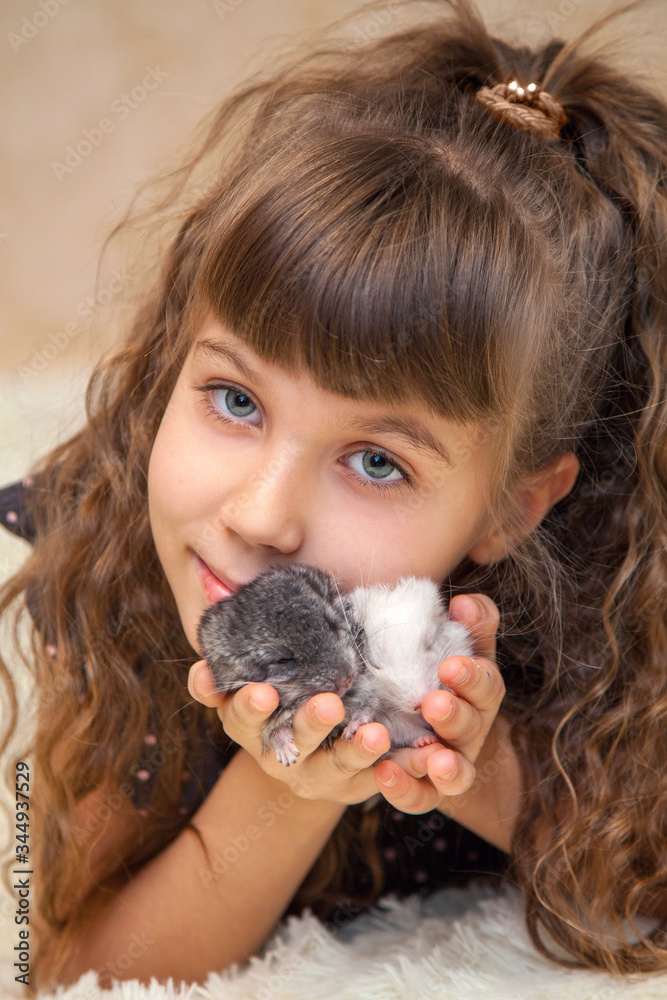 Girl with a little fluffy chinchilla Girl with a little fluffy chinchilla