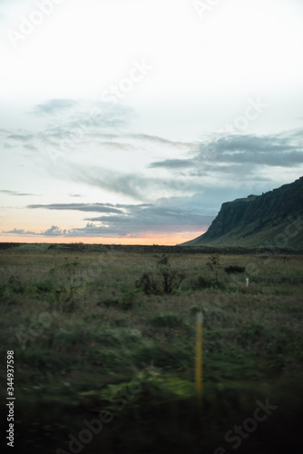 Field in Iceland #2