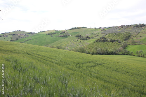 Verdi colline in primavera 