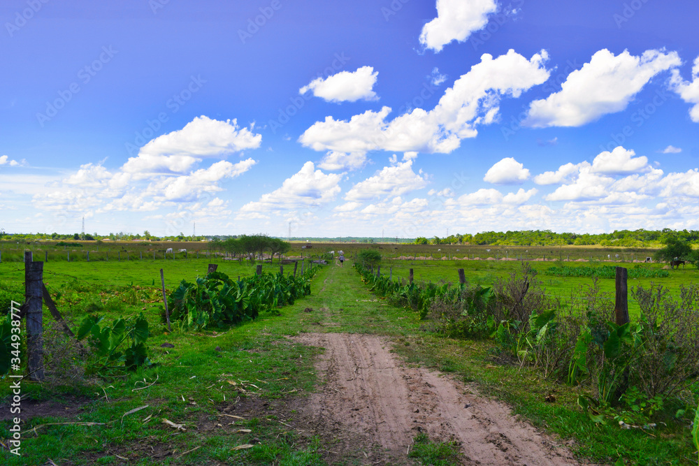 Obraz premium Camino al cielo