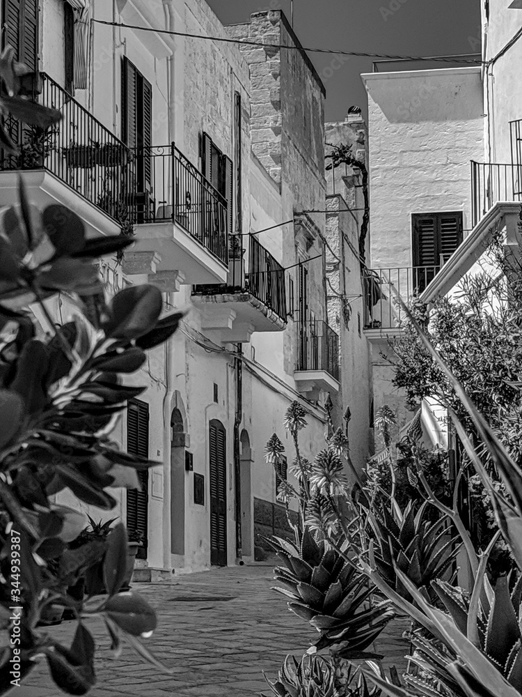 Φωτογραφία Black and White Photography of a narrow alley in Polignano a Mare in the Puglia region of Italy, lined with plants and flowers