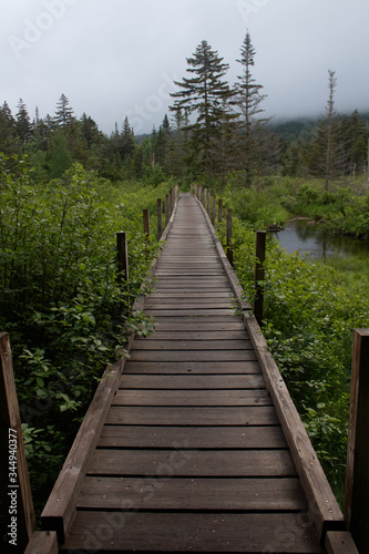 Wooden bridge on mountain trail