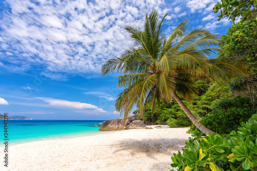 Koh Miang island, Mu Ko Similan National Park, Phang Nga province, Thailand landscape, blue sky, coconut tree, white sand, and clear water, on tropical summer