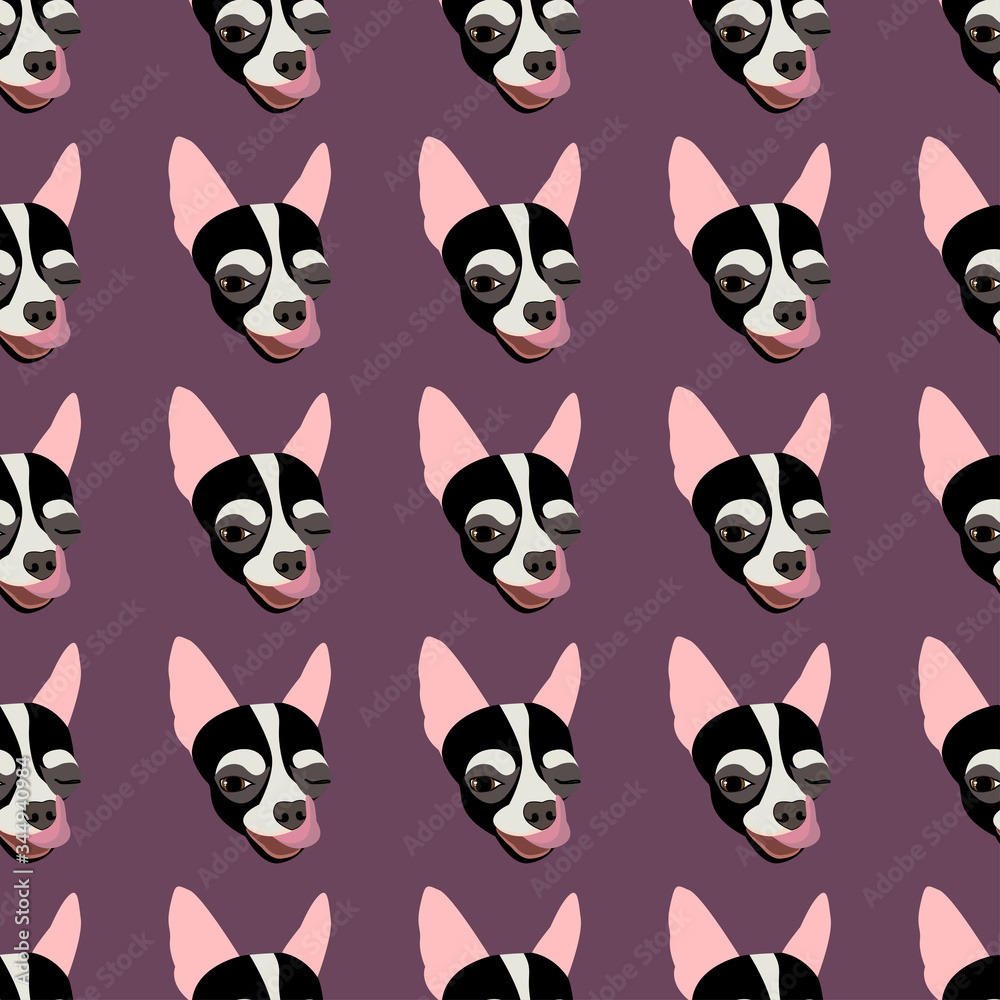 Bright seamless pattern with chihuahua. Chihuahua dog vector pattern