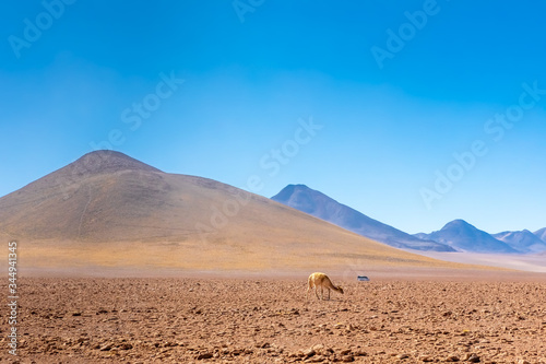 Scenic road in the Atacama desert  Chile