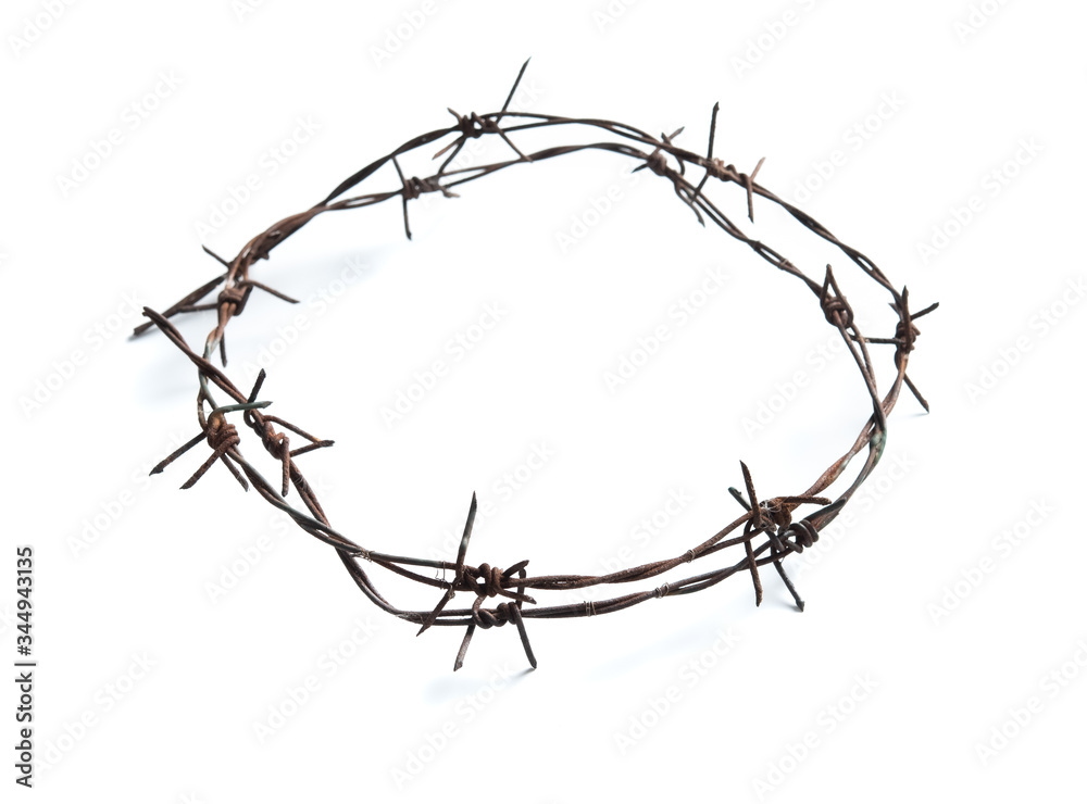 Old rusty barbed wire circle isolated on white background - obrazy, fototapety, plakaty 