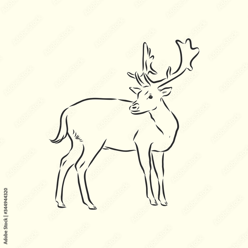 Hand drawn. forest deer, vector sketch illustration Hand drawn. forest deer, vector sketch illustration