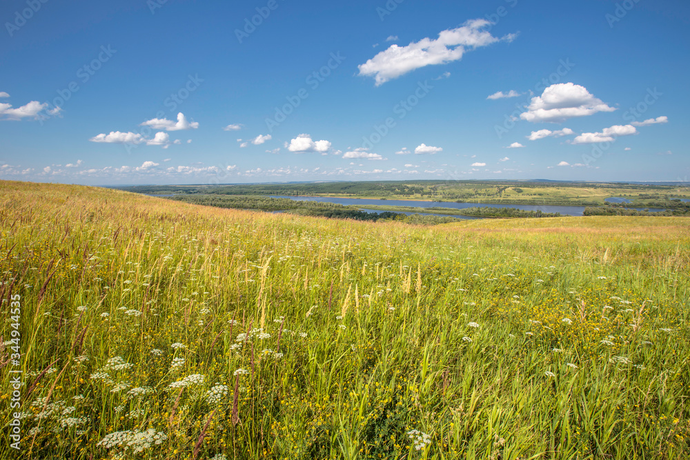 hillside with flowering grass, meadow