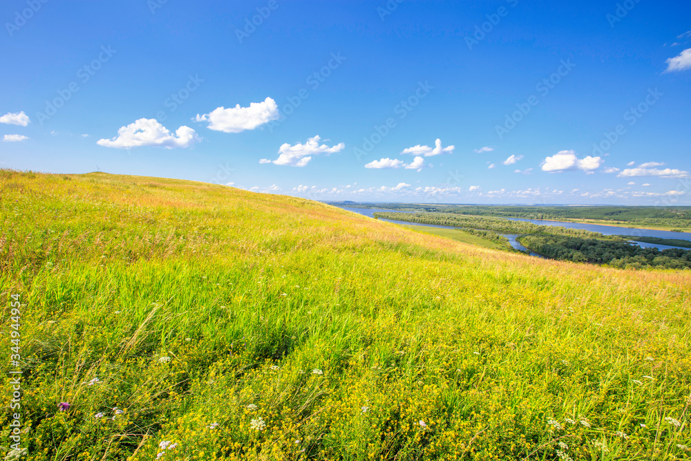 hillside with flowering grass, meadow