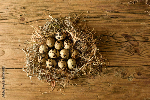 easter eggs in a nest
