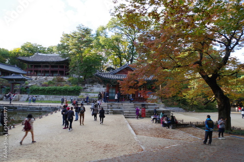 韓国　世界遺産　昌徳宮