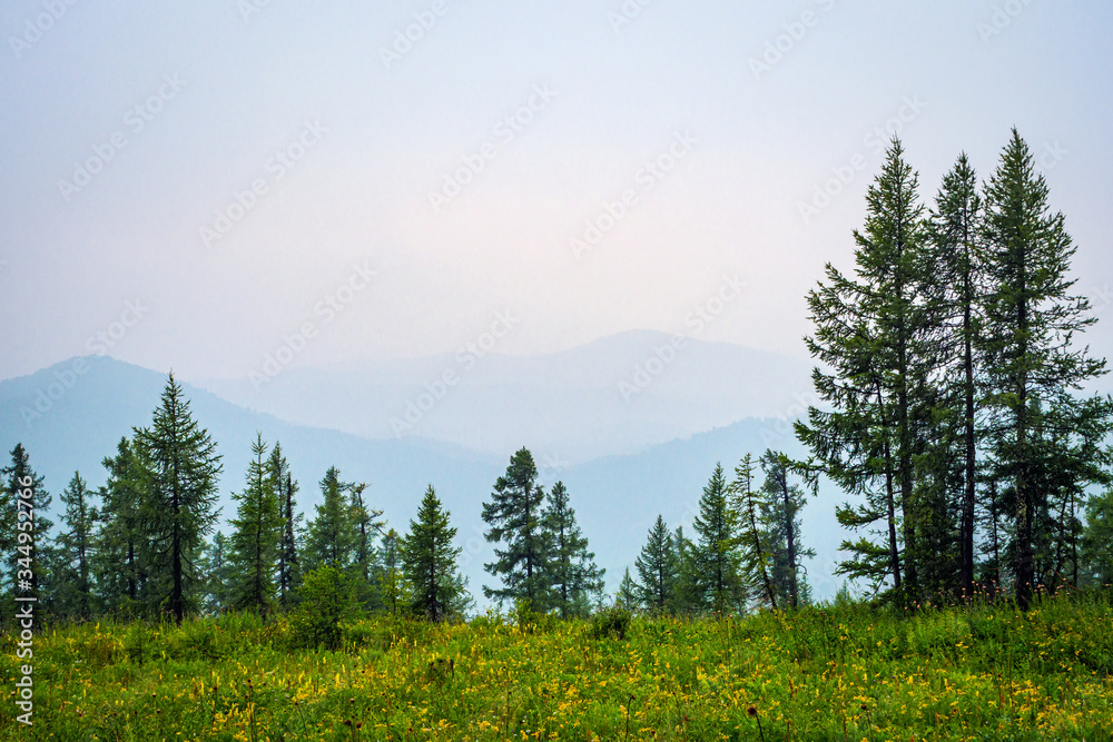 Fototapeta premium Mountain landscape. Foggy weather high in the mountains in summer