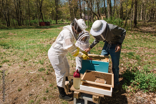 little girl observing her grandad and mother taking care of the beehive photo