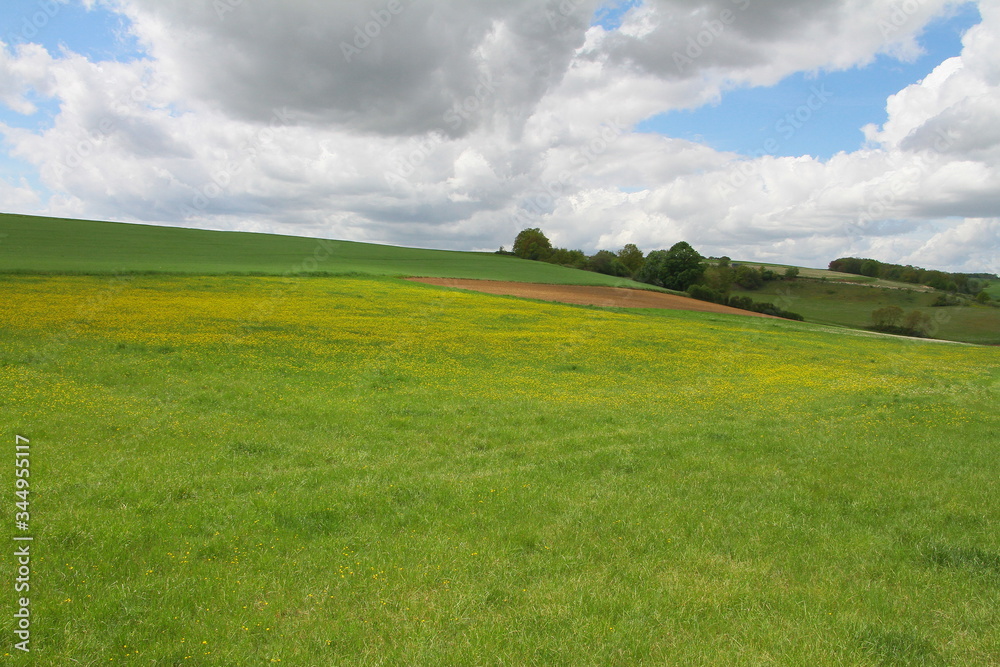 landschaft landschaft