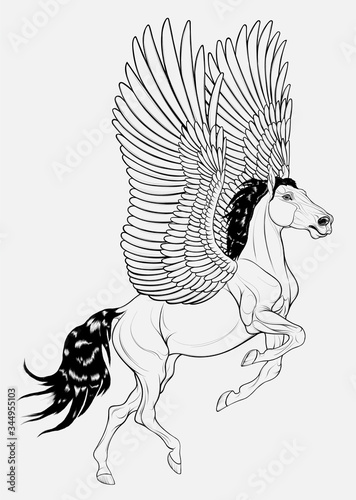 Pegasus reared and flaps its wings, preraring for flight. Prancing stallion pricked up its ears and stared ahead with dilated nostrils. Vector linear illustration, symbol of inspiration.