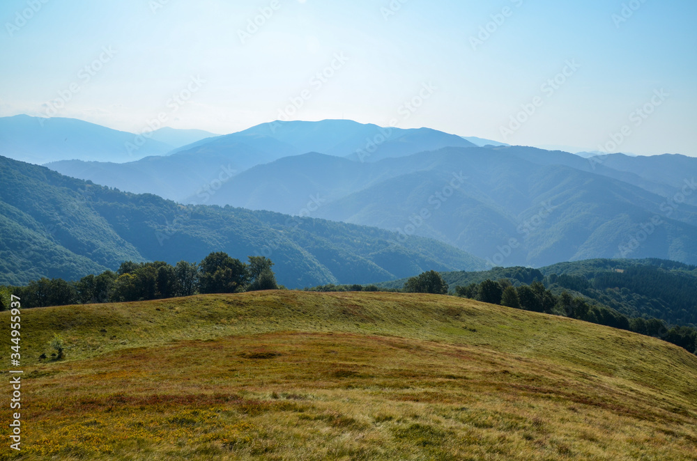 
Carpathian mountains nature landscape of green grassy meadow on the valley surrounded by coniferous forest on the hills. wonderful nature scenery