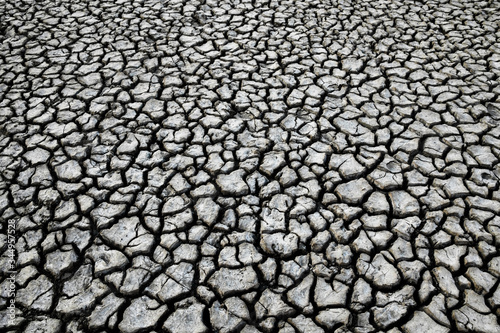 Cracked dry ground.