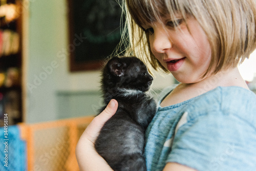 stock photo of adorable little girl holding a kitten in her hands