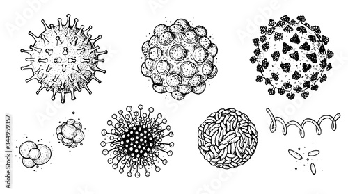 Different kinds of virus, sketch collection. Hand drawn illustration, vintage engraved style. Respiratory virus infection. Corona virus. Coronavirus 2019-nCoV and other viruses. Macro drawing.