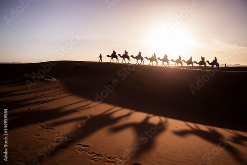 silhouette of camel chain in sahara desert in morocco