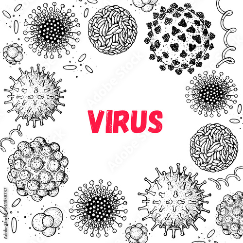 Different kinds of virus, sketch collection. Hand drawn illustration, vintage engraved style. Respiratory virus infection. Corona virus. Coronavirus 2019-nCoV and other viruses. Macro drawing.