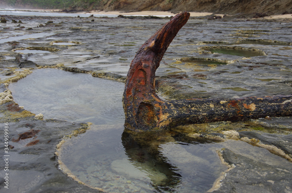 Fototapeta premium 12 apostołów