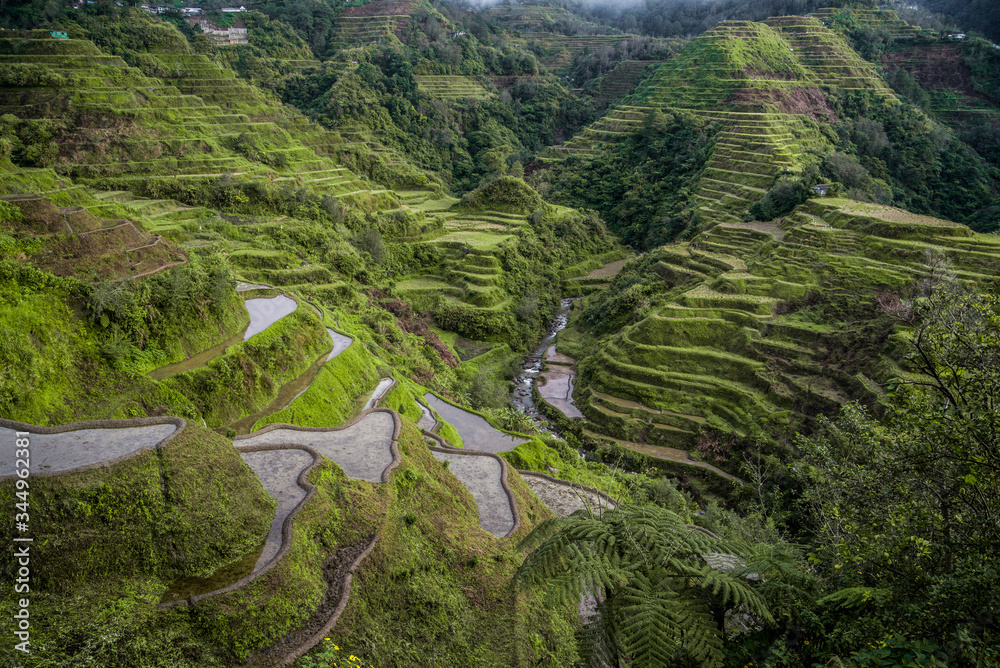 green rice terraces in the philippines