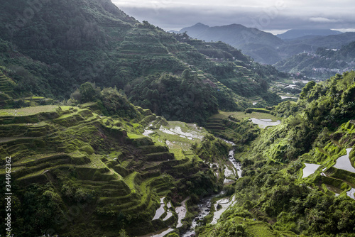 green rice terraces in the philippines