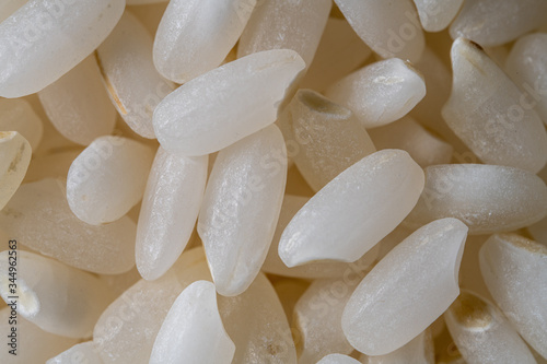 close up de granos de arroz de sushi japonica con iluminación de estudio photo